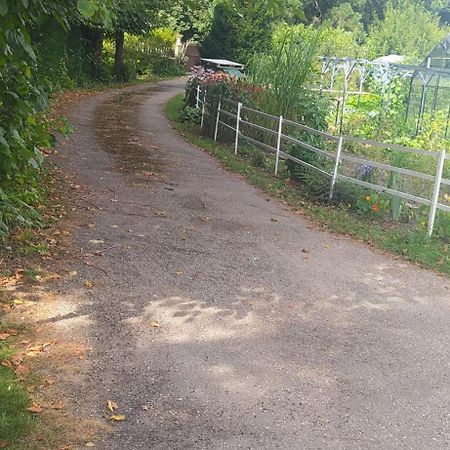 Logement Independant Attenant A Une Maison Dans Grand Jardin Retournac Екстериор снимка